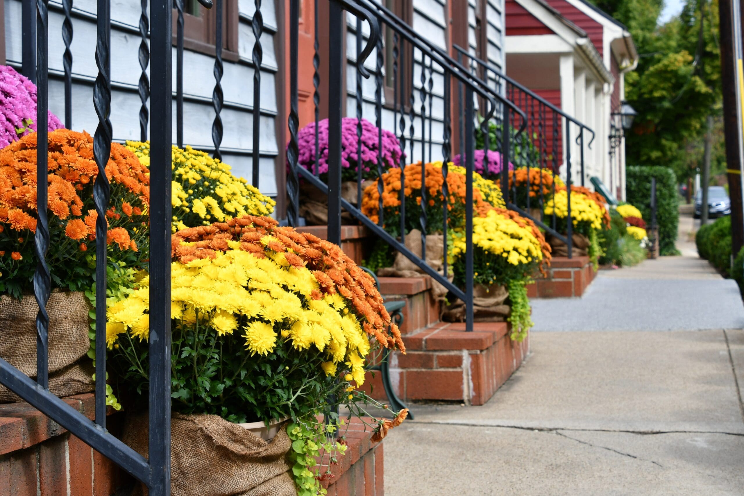 What is Curb Appeal and Why Is it Important?