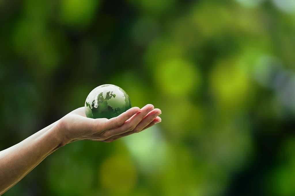 How Real Estate Agents Can Attract Eco-Conscious Buyers and Sellers