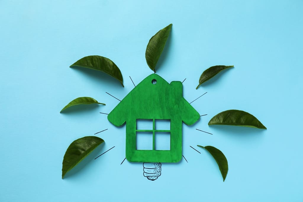 Working with Millennials: A Guide for Real Estate Agents:  Sustainability